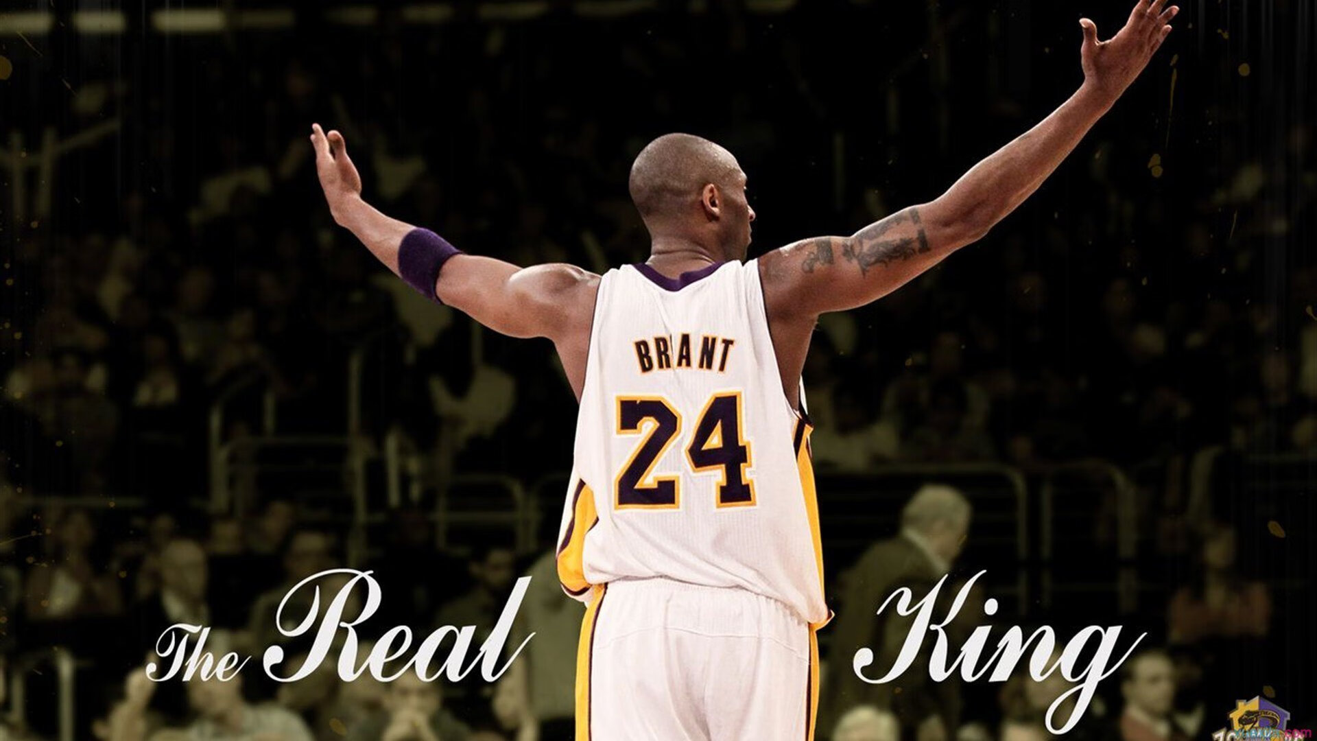 南非血拼尼日利亚，非洲大陆的篮球火种与特奥的季后赛宣言